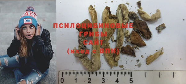 крисы Новозыбков