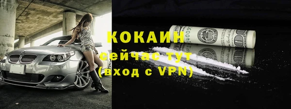 крисы Новозыбков