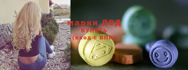 крисы Новозыбков