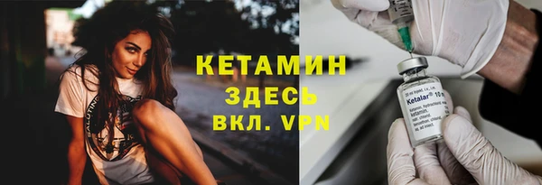 индика Бабаево