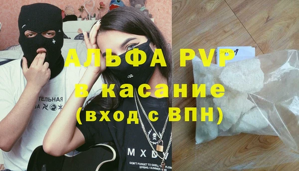 крисы Новозыбков