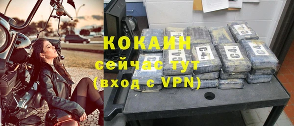 крисы Новозыбков