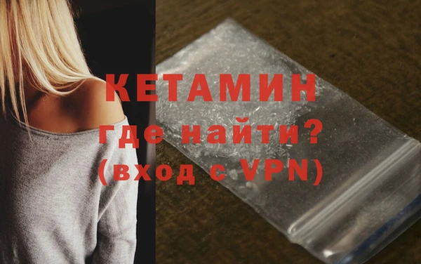 крисы Новозыбков