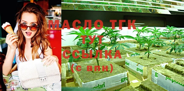крисы Новозыбков