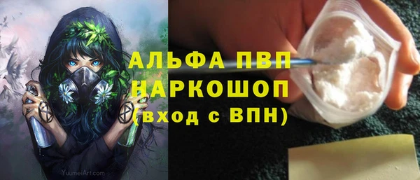 крисы Новозыбков