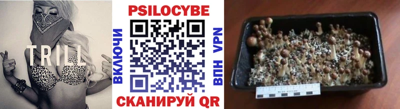 Псилоцибиновые грибы Psilocybe  Правдинск 